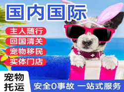 贵阳航空运输国际宠物托运 【国